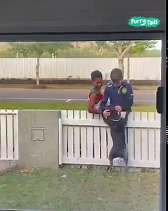 American Staffy loves making new friends 🐕😊 | Furry Tails