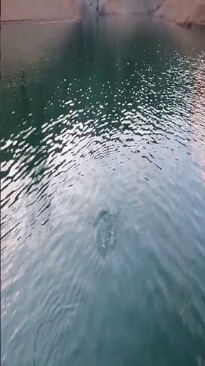 Fishing for spotted bass on Lake Shasta