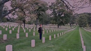 53K views · 2.6K reactions | This Memorial Day we honor our fallen Military Service Members, and thank them for the sacrifice they have made to protect our freedom! ♥♥♥ You can click every day at the #VeteranSite to help and support our Veterans, past and present. Click Here >>>www.greatergood.me/1elaNQL | Fly the American Flag | Facebook