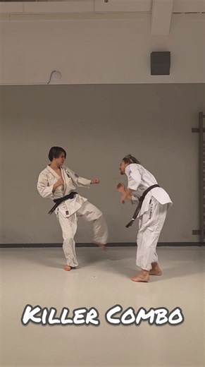 Killer combo | Kyokushin and Shidokan karate