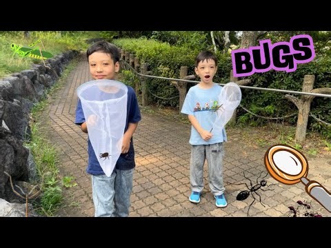 Bug Catching with Liam and Alec ! Learn About Bugs and Insects for Kids !