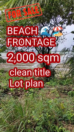 2,000sqm Beachfront Property for Sale in the Philippines