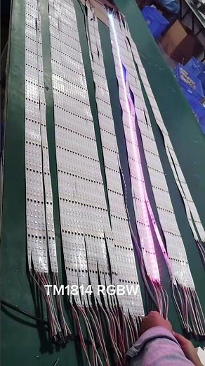 TM1814 RGBW LED Strip Light | Addressable Pixel Lighting