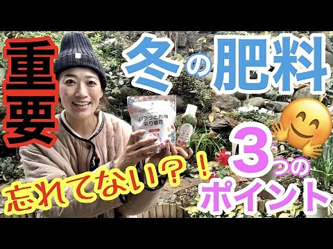 [Winter fertilizer] The success or failure of flowers is decided in winter❗️❓/ Give 〇〇 fertilizer...