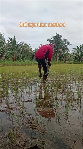 14 reactions · 15 shares | #babylizapagallaman2025letsgrowtogetherchallenge #reelsviralシfb #bukidislife #videoviralシ | Katanim Comedy | Facebook