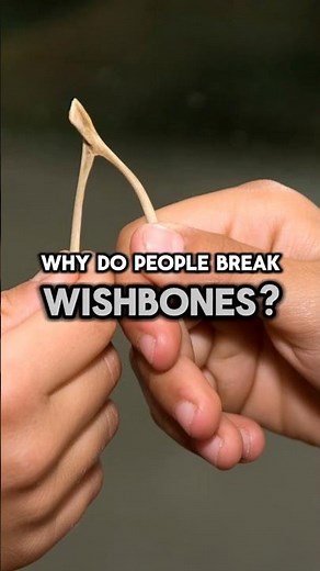 Why Do People Break Wishbones? Did You Know? #traditions #didyouknow #shorts