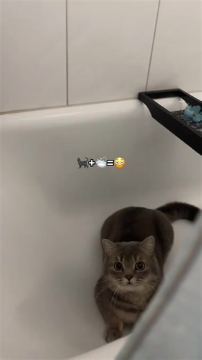 I am shocked😳 #روناس #1212 #ronas