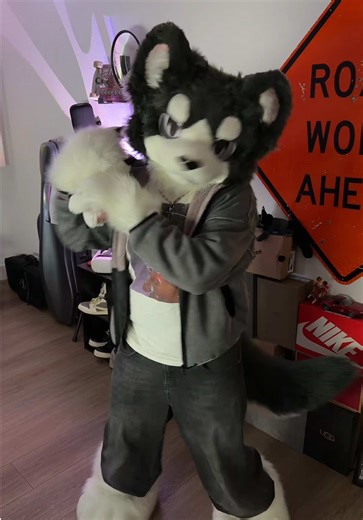 hi #dance #furry #furrytiktok #fursuit #wolf | dancing