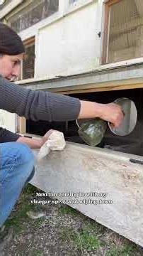 I didn’t realize how important these deep cleanings were until I found red mites in my chicken coop