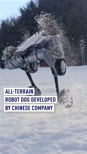 1.3M views · 23K reactions | Deep Robotics, a Chinese company, has developed an all-terrain robot combining wheels and legs to tackle rough terrains. The robots have been deployed in a variety of industries, including power and utilities, rescue, tunnel inspection, construction and research. #robotdog #robot #tech | CGTNEurope | Facebook