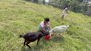 Village lifestyle | Village Vlog