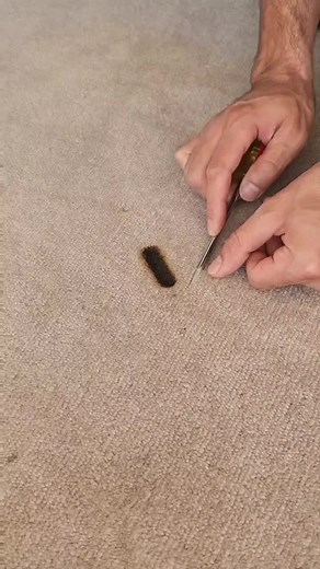 Repairing Hookah Burn Marks on Carpets: A Complete Guide