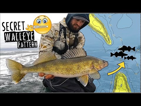 SECRET Ice Fishing Bite is on FIRE for BIG Walleyes!