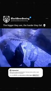 Chopped down like a tree. 🌳 @blackbearboxing 🐻 • • • #Boxing | #Knockout | #Crazy | Black Bear Boxing