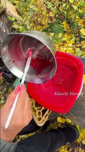 【季節の野草ドリンク】ガマズミ×はちみつ｜ほんのり秋を味わう手作りレシピ
