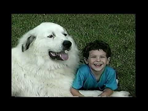 Yoga Kids VHS Exercise