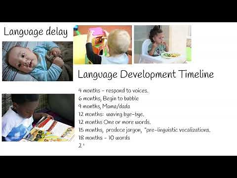 Understanding Language delay in kids. Speech delay causes in children.