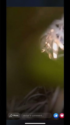 Epic atv fail compilation: hilarious wipeouts and near misses!#atvfail #quadbike #offroad