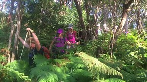 Wild Women On Top on Reels