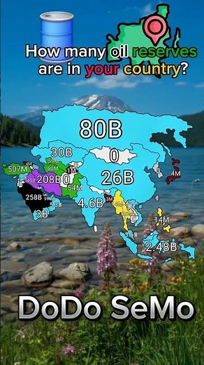 How many oil 🛢 are in your country?#geography #maps #map #mapping #oil #shorts