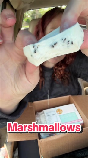 Who doesn’t need a box of mystery marshmallows? @XO Marshmallow #marshmallow #treats #snackreview #summertreats #treatreview
