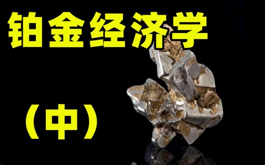 它是最被低估同时最环保的金属，一个视频了解铂金的全貌【铂金经济学】【中】