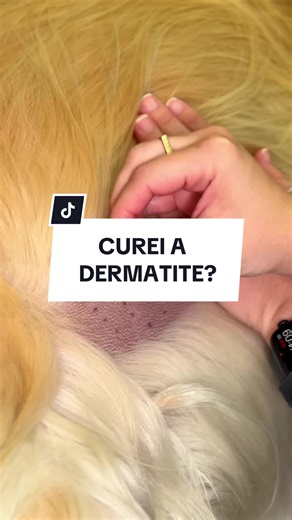 Dermatite Atópica em Cães: A Importância do Tratamento Especializado