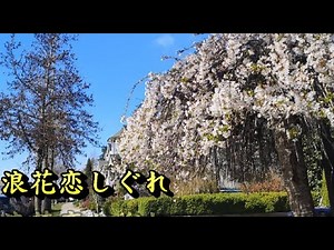 浪花恋しぐれ (大阪愛情陣雨) (都はるみ＆岡千秋)【中譯】