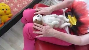 151K views · 2.8K reactions | Massage Time... | Back to Nature | Facebook