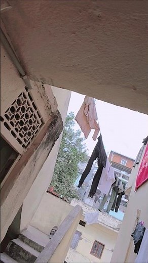 najar #trends #short #bollywood #music #shorts