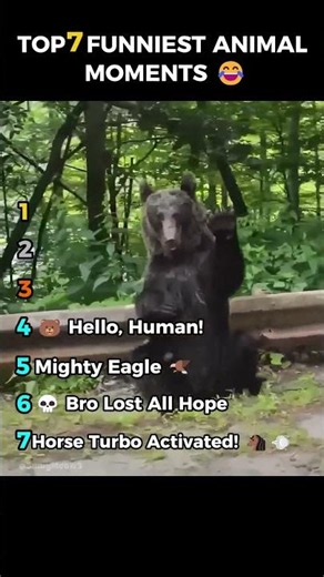 Top 7 Funniest Animal Moments 😂 (Try Not to Laugh!)