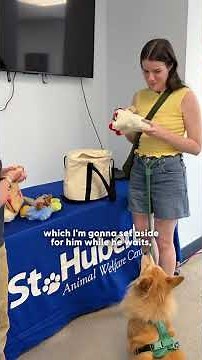 They Made a Special Stop — And Met a Dog Who’s Still Waiting ❤️ | The Dodo