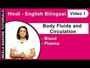 Body Fluids and Circulation (Bilingual) | NEET | Blood - Plasma | Neela Bakore Tutorials