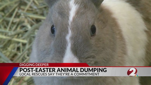 Post-Easter animal dumping