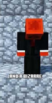 No Server November on #2b2t