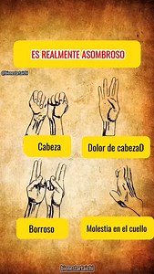 😖 ¿Dolores de cabeza, cuello rígido, hinchazón, mal sueño, estrés? No siempre necesitas una pastilla. A veces… solo necesitas tus manos. La acupresión es una antigua técnica de sanación que ayuda a activar la capacidad natural del cuerpo para aliviar el dolor, calmar la mente y restaurar el equilibrio — todo sin fármacos ni efectos secundarios. 📘 En esta Guía Inicial de Acupresión aprenderás: ✅ Los puntos de presión más eficaces para el alivio diario ✅ Cómo presionar correctamente — de forma s