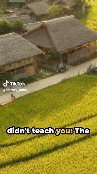 The Vietnam War #historyfacts #Vietnam #history #War