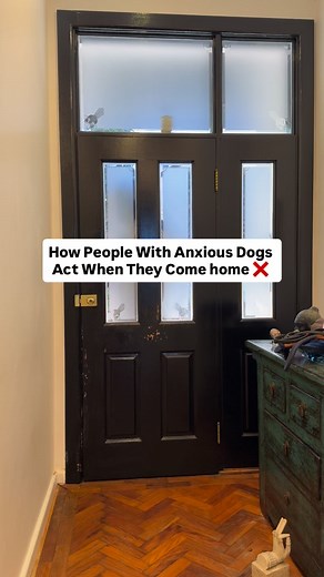 77K views · 446 reactions | Do whatever you want with your dogs, but...