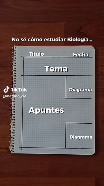 🧠 No necesitas más horas de estudio… solo apuntes que tu mente entienda a la primera. ✍️✨ Ordenar también es una forma de pensar. 📚 #MetodoCIE #CursoCIE #EstudiaInteligente #HabitosQueTransforman #AprenderEsPoder #ExploraConCIE