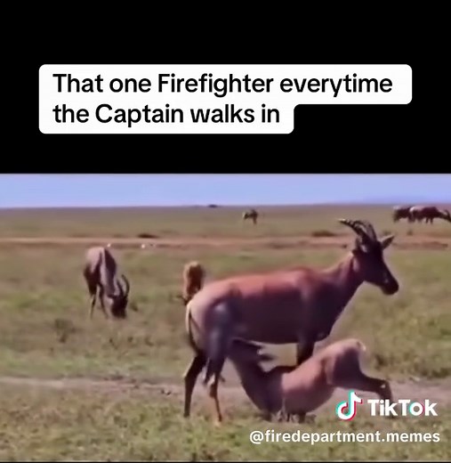 Humorous Moments in the Fire Department