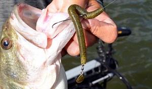 Give It a Spin: Tail-Spinner Worms Catch Big Bass - Game & Fish
