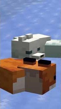 Top 5 Crazy Minecraft facts!