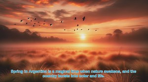 Springtime Splendor: Top 10 Places to Visit in Argentina