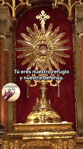 DI ESTO Y DEJA DE SUFRIR POR FALTA DE DINERO #milagros #santisimosacramento #providencia #dios #fe