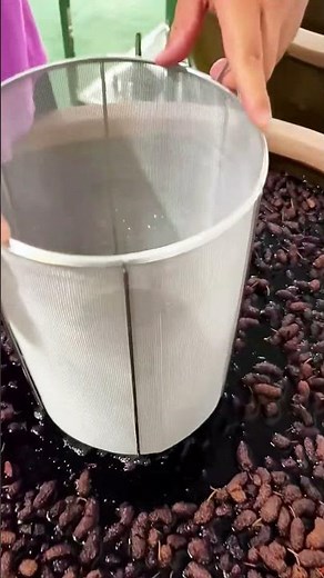 The process of making wine with mulberries- Good tools and machinery make work easy