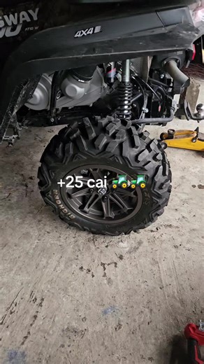 #atv #segway @Peles @goguci TikTok