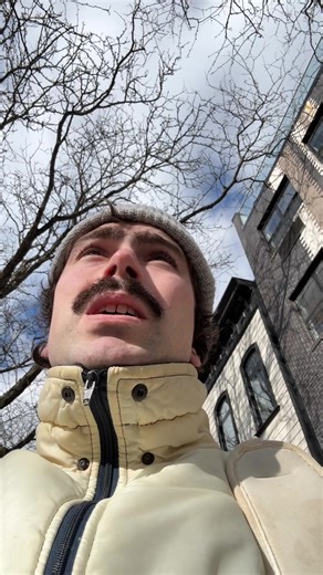 The Chillest Guy: Discovering Wellness Vibes