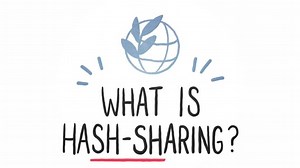 #️⃣ The terrorism database big platforms rely on