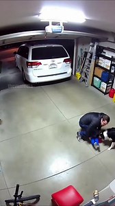 10M views · 77K reactions | Security Cam Records Dog Dragging Child...