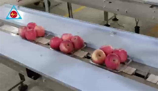 pillow packing machine for apples #apple #fruits #packingmachine